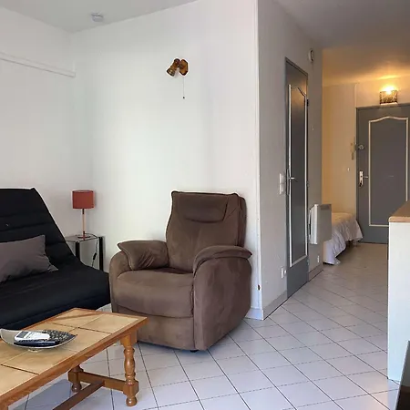 T1 Avec Terrasse, Veranda Et Climatisation A Balaruc-les-bains, Expose Sud, 2 Etoiles - Fr-1-553-5
